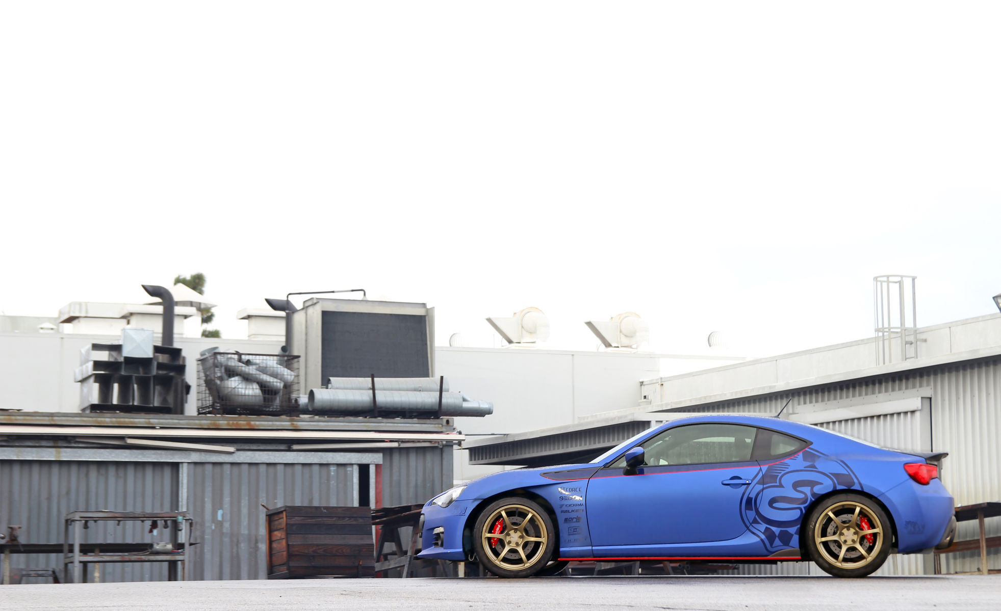| BRZEF1