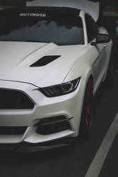 2015 Ford GT350 | Mustang Motoroso