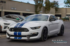 2017 Shelby GT350