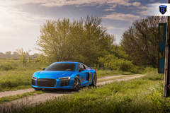 Blue Audi R8 - Nature