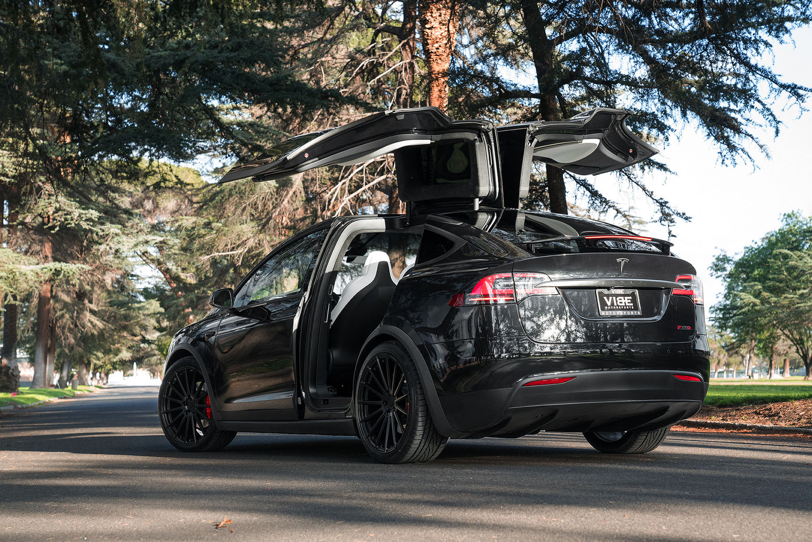2017 Tesla Model X | Tesla Model X P100D on 22