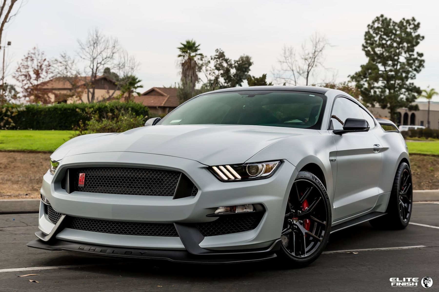 2018 Ford GT350R | Joe Gatt's Ford Mustang GT350R on Forgeline One Piece Forged Monoblock VX1R Wheels