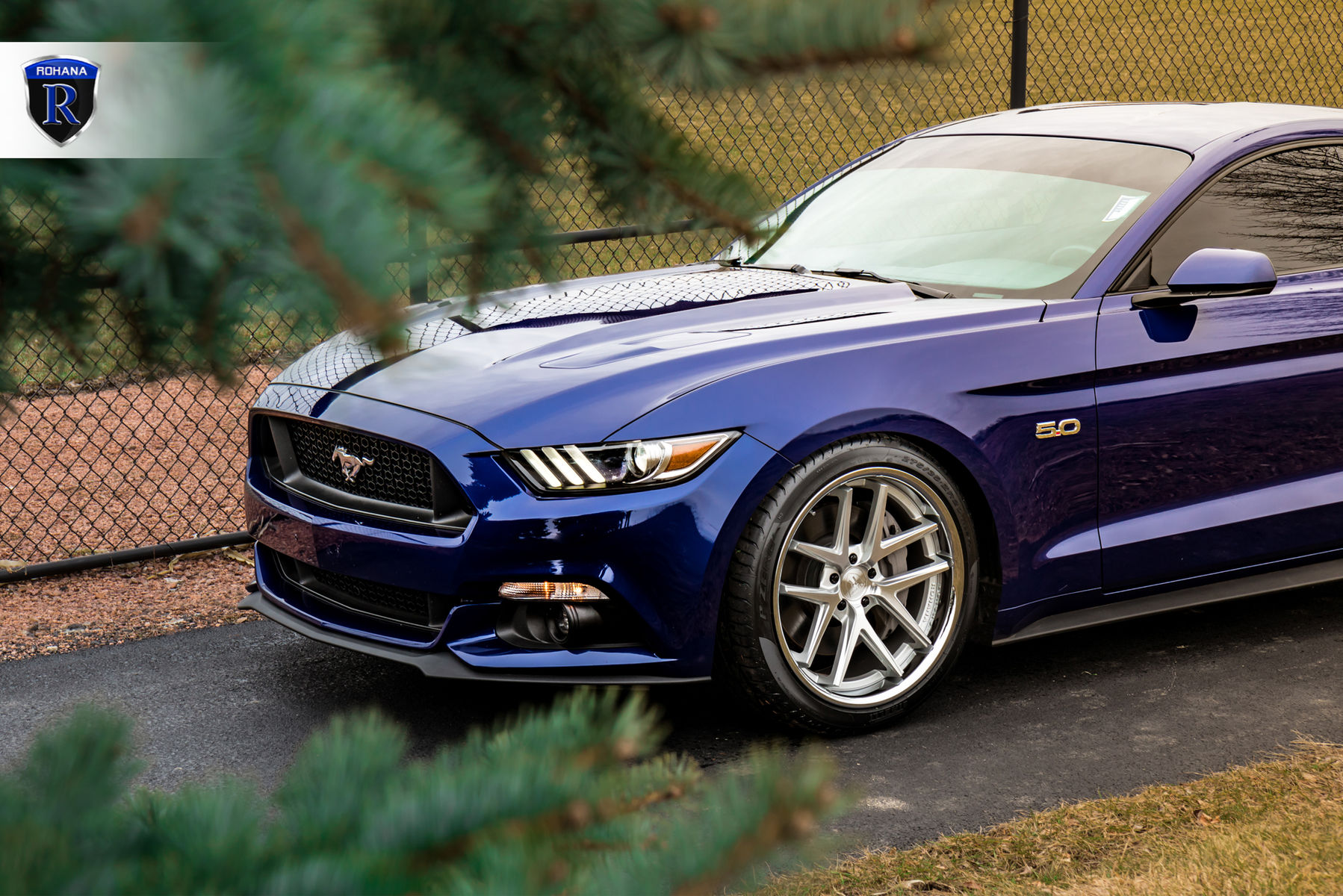 2015 Ford Mustang | Ford Mustang GT