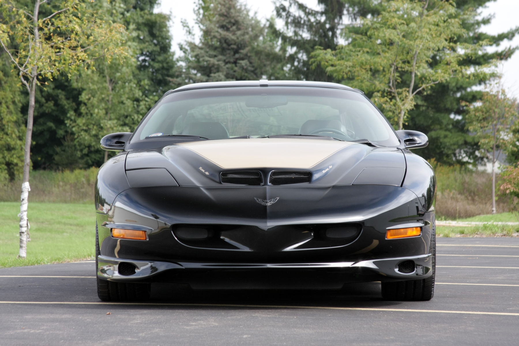 1997 Pontiac Firebird | 1997 Hurst Firebird by Lingenfelter
