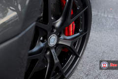 Ferrari 599 on HRE S101