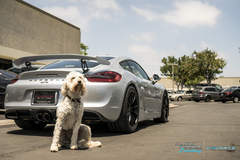 2016 Porsche GT4