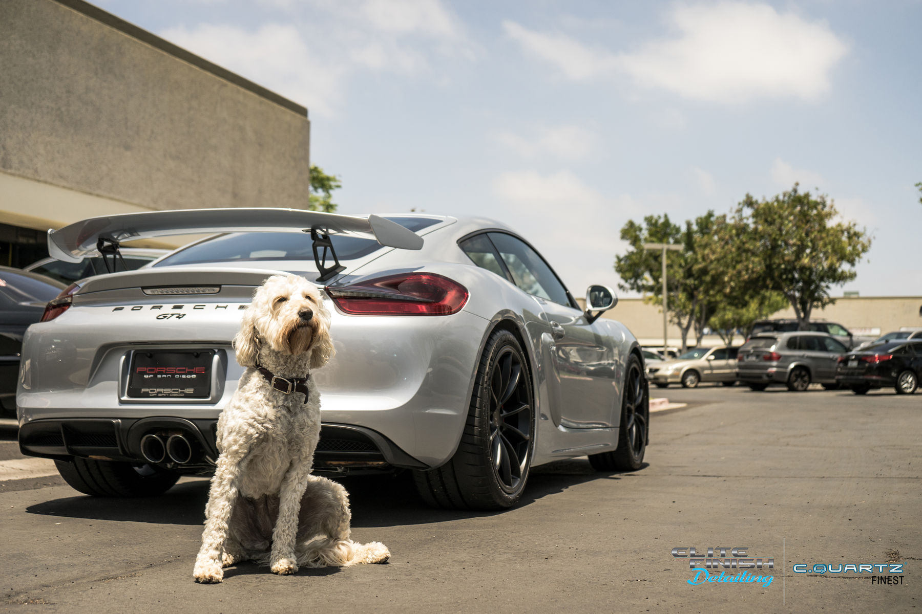 2016 Porsche Cayman | 2016 Porsche GT4