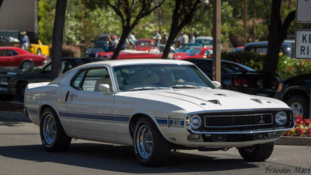 1970 Ford Mustang | 1970 Ford Mustand Shelby GT350