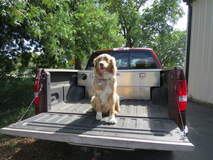 Ford F150 with Fuelbox combo FTC45