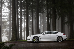 '14 Porsche Panamera