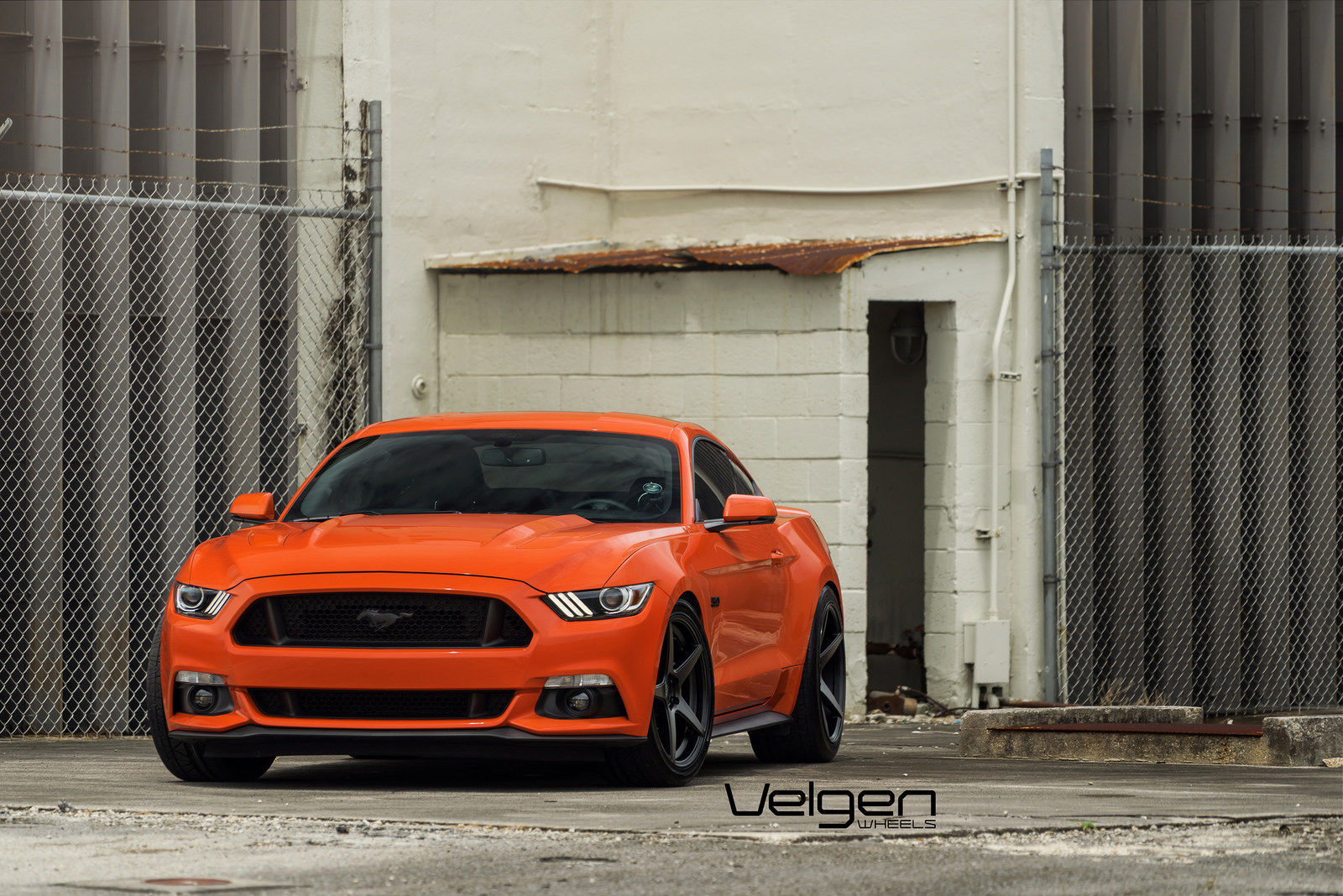 2016 Ford Mustang | Competition Orange Mustang GT | Classic5 Satin Black
