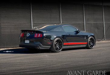 Ford Shelby GT500