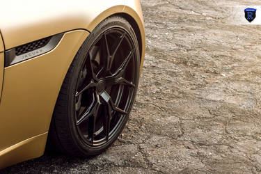 2016 Jaguar F-Type | Gold Jaguar F-Type - Fitment