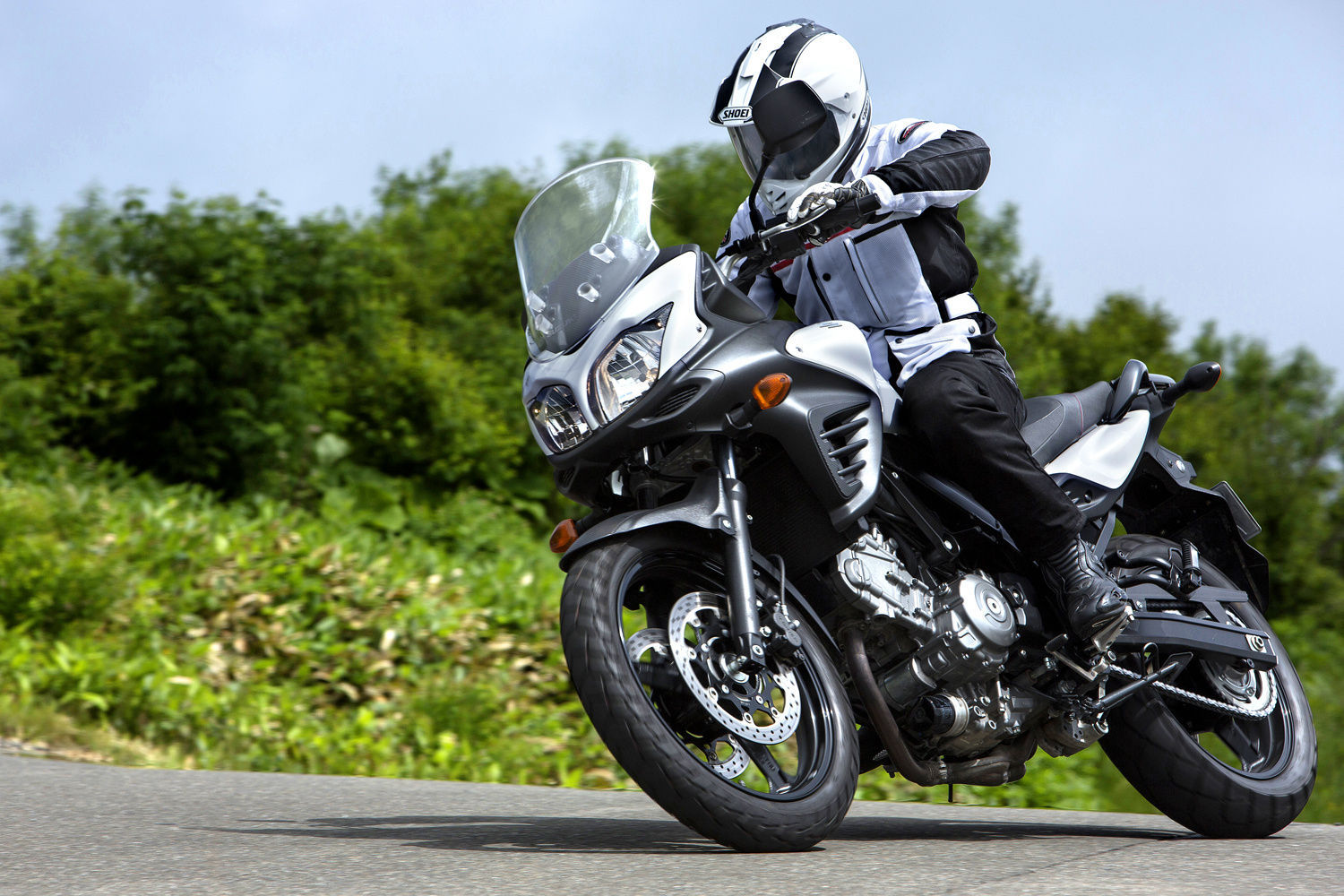 Suzuki v Strom 250