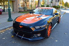 MRT TKO Mustang