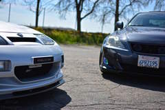 JDM Beauties