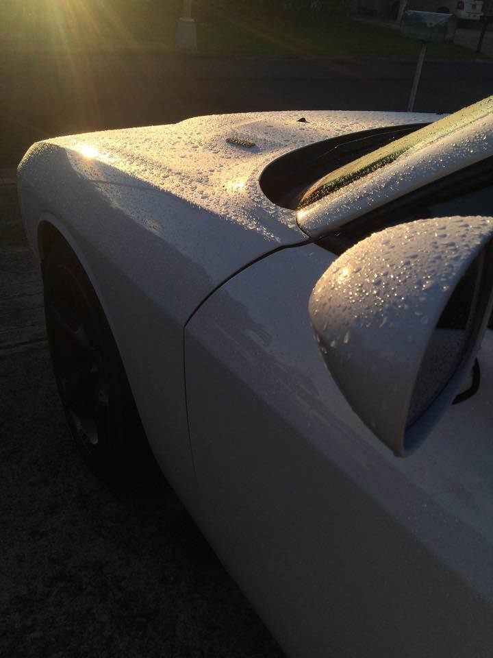 2013 Dodge Challenger | Shine