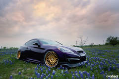 Hyundai Genesis Coupe