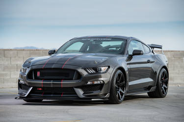 2019 Ford GT350R | 2019 Shelby GT350R Carbon Fiber Edition by Speedkore - Vegas Stang FordSEMA