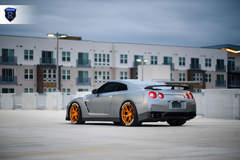 Gray Nissan GTR - Sitting Pretty