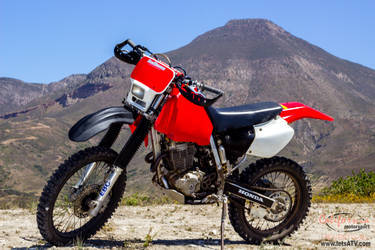 2004 Honda  | Honda Xr 400R