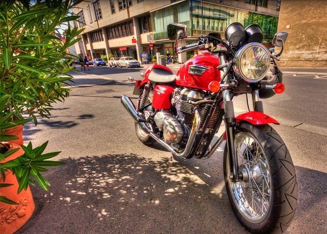  Triumph  | Sexy+Red+Triumph