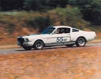 '65 Mustang Fastback #55