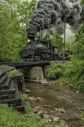 Forest Tracks