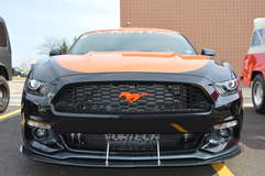 MRT TKO Mustang