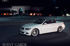 BMW E93 335i