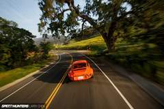 Twisties