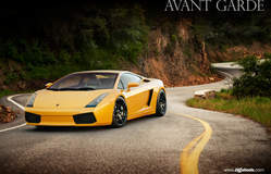 Lamborghini Gallardo