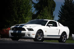2010 Shelby GT500 