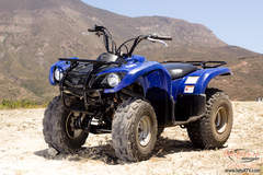Yamaha Grizzly 125