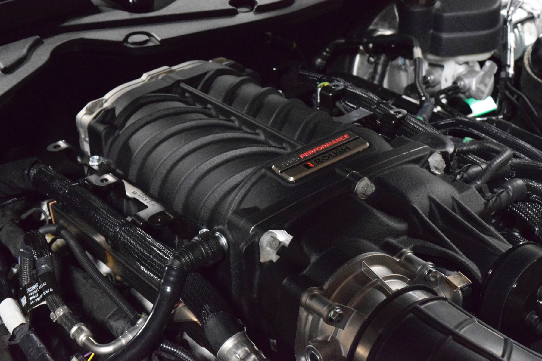 2019 Ford Mustang | 2019 Ford Mustang GT Fastback By California Pony Cars - Roush supercharger detail
