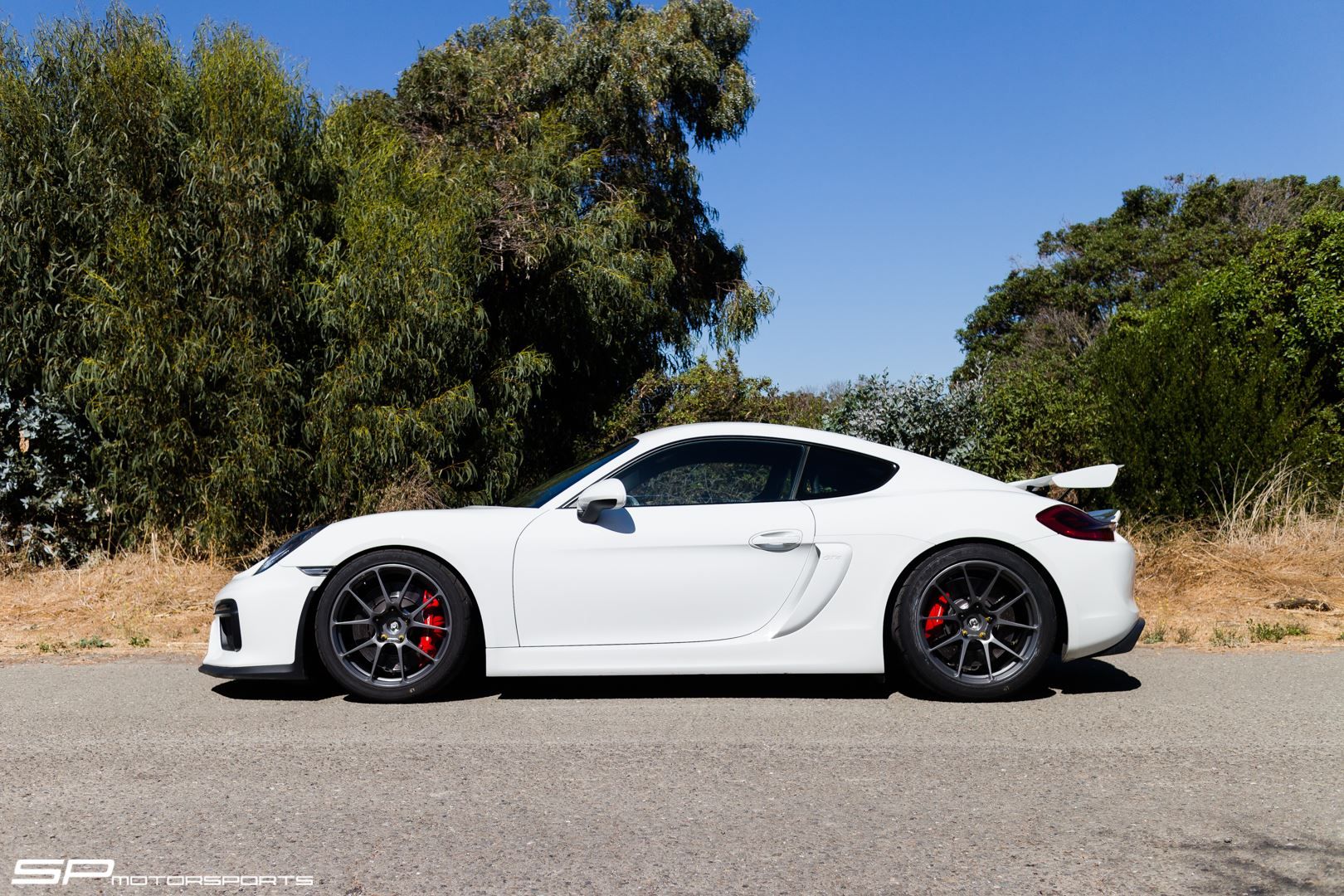 2016 Porsche Cayman | Dave's SP Motorsports-Tuned Porsche Cayman GT4 on Forgeline One Piece Forged Monoblock GS1R Satin Wheels