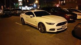 Mustang 5.0