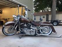 brown softail