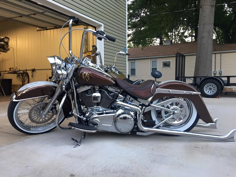    | brown softail