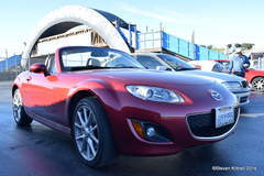Mazda Way