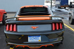 MRT TKO Mustang
