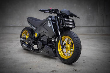 2015 Honda Grom | 2015 Honda Grom