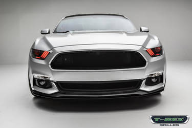 Mustang GT  