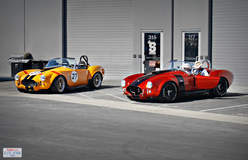 Shelby Cobras