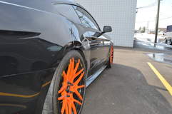 MRT TKO Mustang