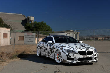2014 BMW M6 Gran Coupe | BMW M6 Twist 16 Sport 5V Combo