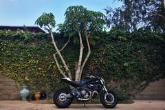 Ducati 821 cafe racer