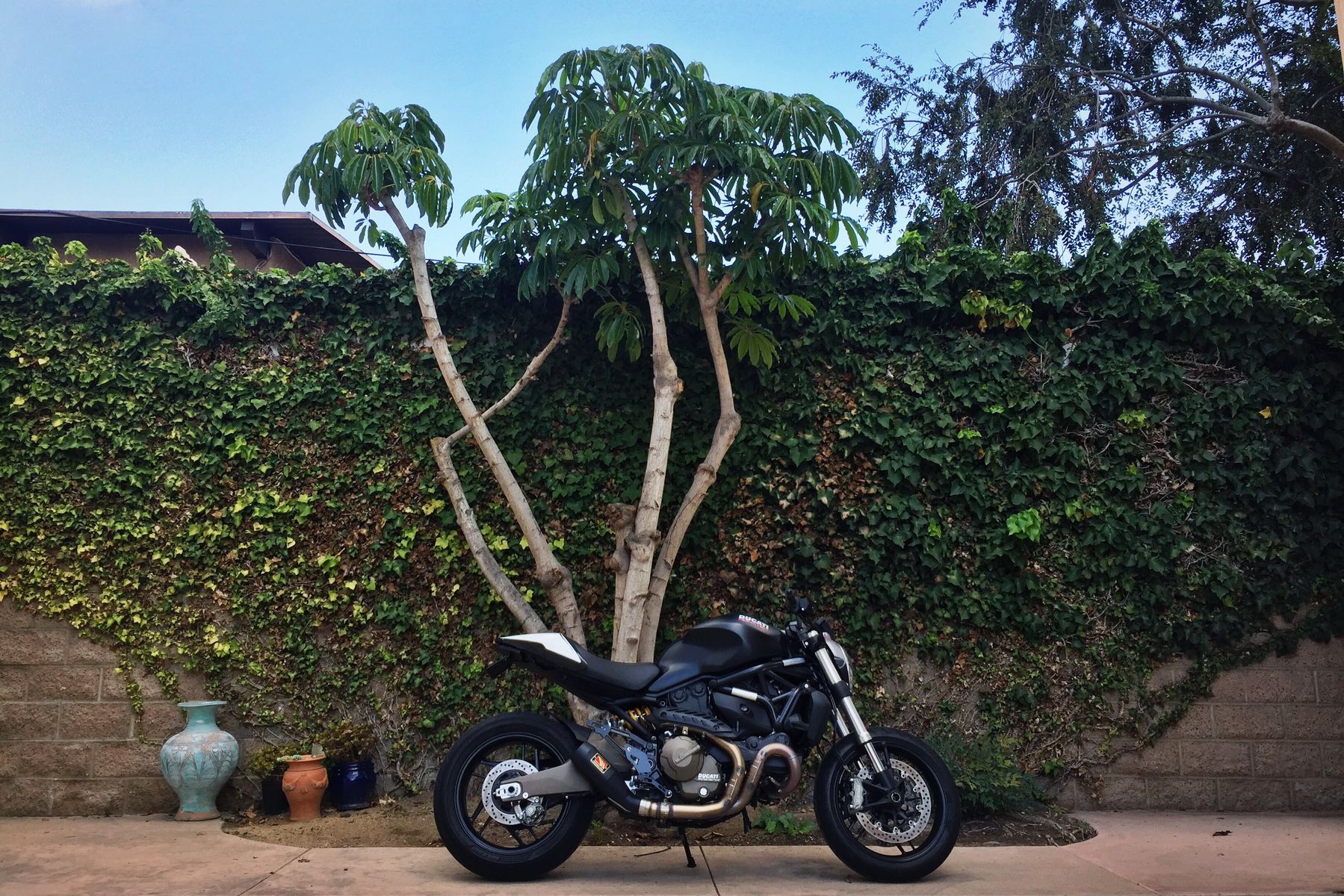 2016 Ducati MONSTER 821 DARK | Ducati 821 cafe racer