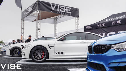 2015 BMW M4 | Bimmerfest 2016 - Motoroso BMW M4