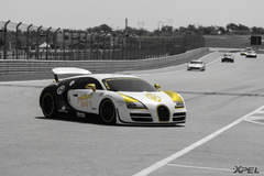 goldRush Rally 7